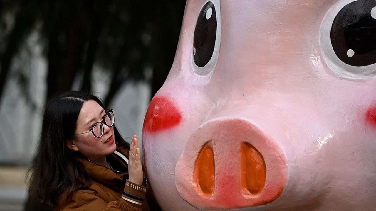 alibaba pig year
